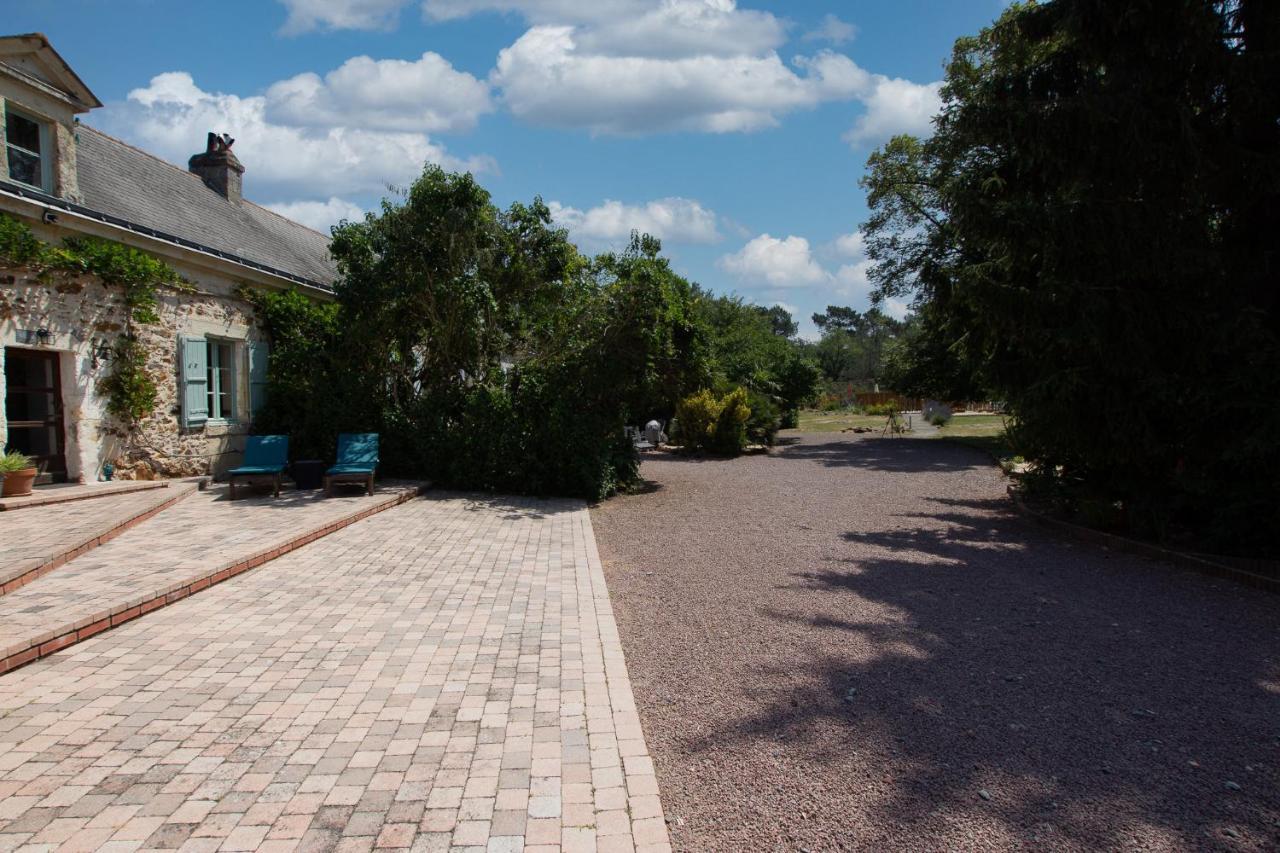 Roche-Loire Villa Le Thoureil Eksteriør bilde